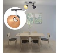 vidaXL Ceiling Lamp for 2 Bulbs E27 Black and Gold Luminaire Lamp Lighting