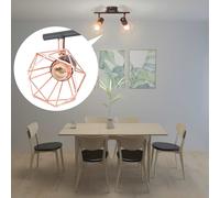 vidaXL Ceiling Lamp with 2 LED Filament Bulbs 8 W