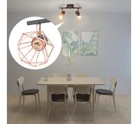 vidaXL Ceiling Lamp with 2 LED Filament Bulbs 8 W, Multi