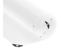 vidaXL Clear Tarpaulin with Eyelets 4x10 m PVC