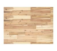 Desk Top Untreated 100x60x2 cm Solid Wood Acacia