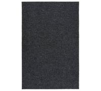 Berkfield Dirt Trapper Carpet Runner 100X150 Cm Anthracite