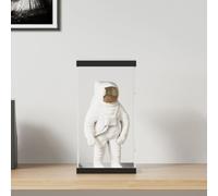 vidaXL Display Box Transparent 20x20x38 cm Acrylic