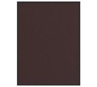 vidaXL Doormat Brown 80x120 cm