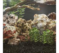 vidaXL Dragon Stones 25 kg Mixed Colour 10-30 cm