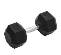 vidaXL Dumbbell 25 kg Cast Iron