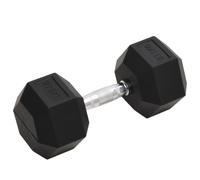 vidaXL Dumbbell 27.5 kg Cast Iron