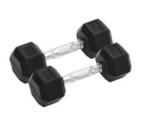 vidaXL Dumbbells 2 pcs 10 kg Total Cast Iron