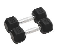 vidaXL Dumbbells 2 pcs 12 kg Total Cast Iron
