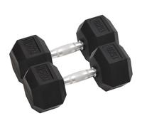 vidaXL Dumbbells 2 pcs 30 kg Total Cast Iron