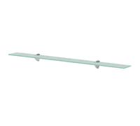 vidaXL Floating Shelf Glass 100x20cm Sheet Plate Storage Room Shelving Display