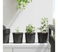vidaXL Flower Pot 200 pcs Black Ø 15 x 13 cm Plastic
