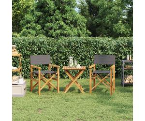 vidaXL Folding Director's Chairs 2 pcs Grey Solid Wood Teak