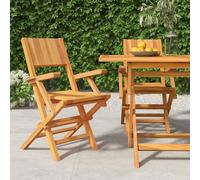 vidaXL Folding Garden Chairs 2 pcs 55x61x90 cm Solid Wood Teak