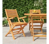 vidaXL Folding Garden Chairs 2 pcs 55x62x90 cm Solid Wood Teak