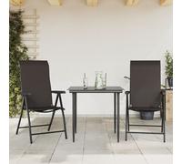 Folding Garden Chairs 2pcs Black PE Rattan Powder-Coated Steel 69x54.5x111cm Set