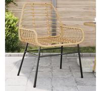 Vidaxl Garden Chairs 2 Pcs Brown Poly Rattan