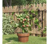 vidaXL Garden Plant Supports with 3 Rings 5 pcs Green 45 cm Steel