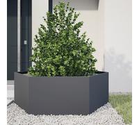 vidaXL Garden Planter Hexagon Steel - Anthracite, Raised Design, 138x120x45 cm