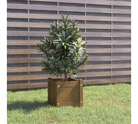 vidaXL Garden Planter Honey Brown 31x31x31 cm Solid Pinewood