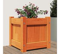 vidaXL Garden Planter Wax Brown 31x31x31 cm Solid Wood Pine