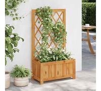 vidaXL Garden Raised Bed with Trellis Solid Acacia Wood