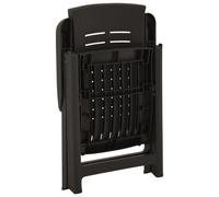 vidaXL Garden Reclining Chairs 2 pcs Plastic Anthracite