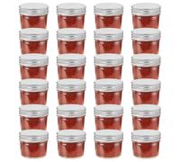 vidaXL Glass Jam Jars with Silver Lids 24 pcs 110 ml