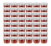 vidaXL Glass Jam Jars with Silver Lids 48 pcs 110 ml