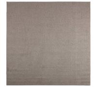 vidaXL Indoor Rug LUGO Taupe 240 x 240 cm Polyester
