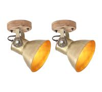 vidaXL 2x Industrial Wall/Ceiling Lamps Brass E27 Bedside Light Living Room