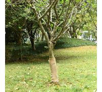 vidaXL Jute Roll 0.5x15 m 100% Jute 200 gsm