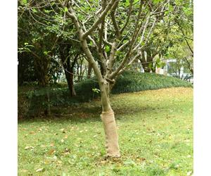 vidaXL Jute Rolls 2 pcs 0.5x50 m 100% Jute 200 gsm