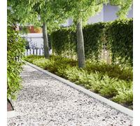 vidaXL Lawn Edging 10 pcs White 100 x 0.05 x 15 cm Cold Rolled Steel