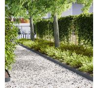 vidaXL Lawn Edging 20 pcs Anthracite 100 x 0.05 x 15 cm