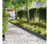 VidaXL Lawn Edging 30 Pcs 100 X 0.05 X 20 Cm Cold Rolled Steel