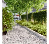 vidaXL Lawn Edgings 10 pcs 15x103 cm Stainless Steel