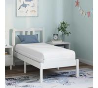 vidaXL Mattress with Coconut Layer White 60 x 120 cm Pocket Spring