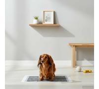 vidaXL Non-woven Fabric Pet Training Pad 400 pcs 60 x 45 cm