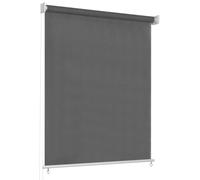 vidaXL Outdoor Roller Blind 60x230 cm Anthracite