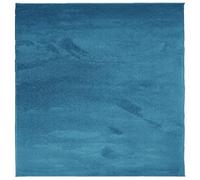 vidaXL Oviedo Polyester Rug - 120x120 cm Square Carpet Floor mat, Turquoise, Soft/Low Pile, Suitable for Underfloor Heating