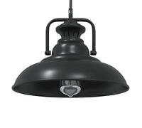 vidaXL Pendant Lamp E27 Black Ø 31 cm Iron