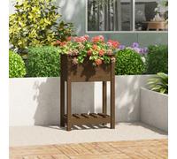vidaXL Planter with Shelf Honey Brown 54x34.5x81 cm Solid Wood Pine