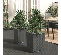 vidaXL Planters 2 pcs Black 30x30x37 cm Polypropylene