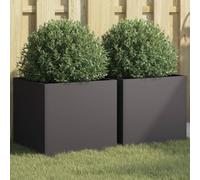 vidaXL Planters 2 pcs Black 42x40x39 cm Steel