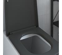 vidaXL Quick Release Toilet suitable for Seat Anthracite