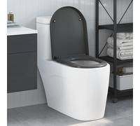 vidaXL Quick Release Toilet suitable for Seat Anthracite