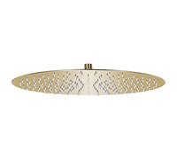 Vidaxl Rain Shower Head Stainless Steel 40 Cm Round Gold