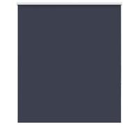 vidaXL Blackout Roller Blind, 120 x 150 cm, Fabric Width 116.6 cm, Day and Night Curtain, Kitchen Curtain, Blackout Roller Blind