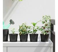 vidaXL Round Flower Pot 50 pcs Black Ã 10 x 8 cm Plastic